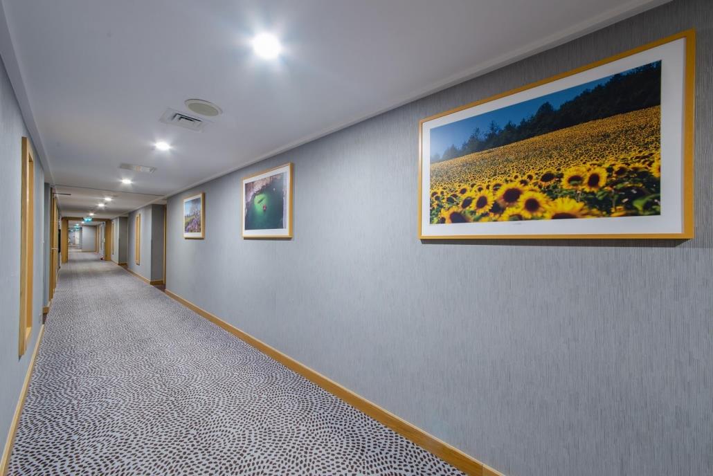 hilton-033